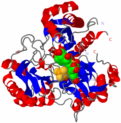 Image Asym./Biol. Unit