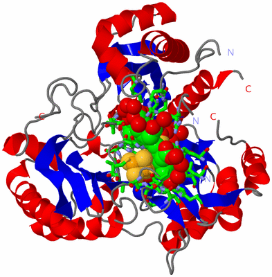 Image Asym./Biol. Unit - sites