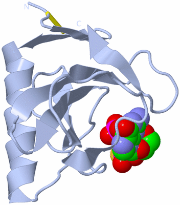 Image Biological Unit 1