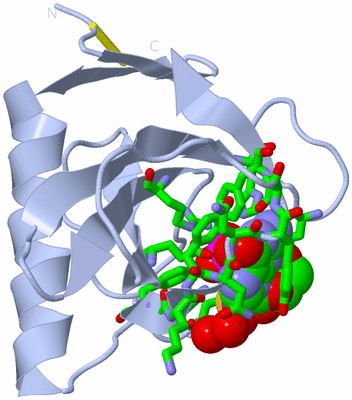 Image Biol. Unit 1 - sites