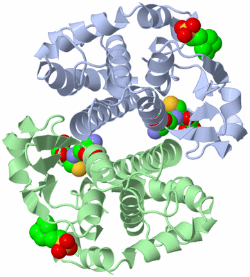 Image Asym./Biol. Unit