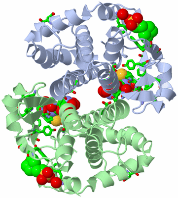 Image Asym./Biol. Unit - sites