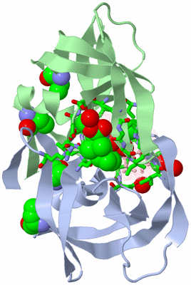 Image Asym./Biol. Unit - sites