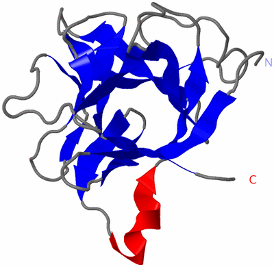 Image NMR Structure - model 1