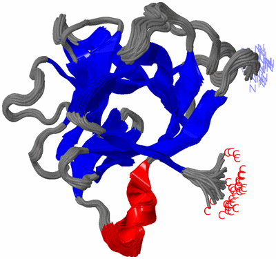 Image NMR Structure - all models