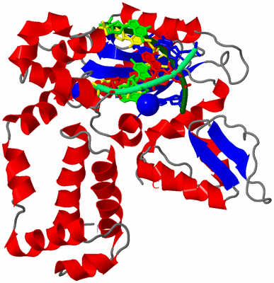 Image Asym./Biol. Unit