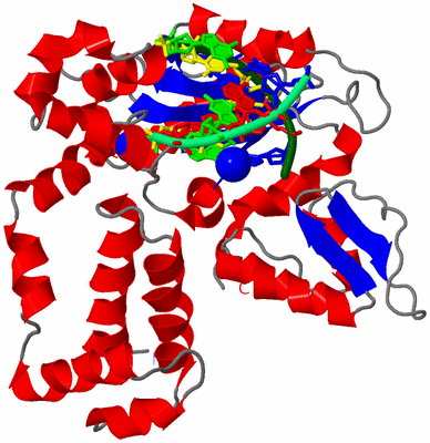 Image Asym./Biol. Unit