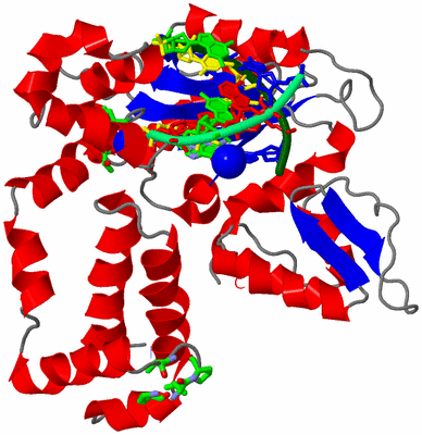 Image Asym./Biol. Unit - sites