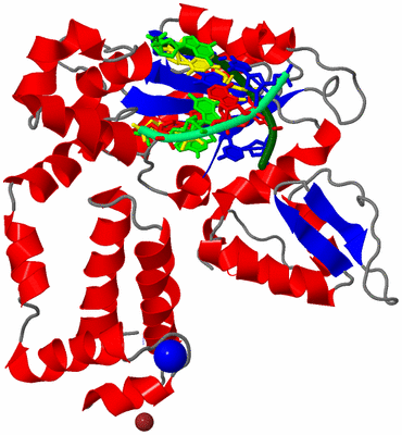 Image Asym./Biol. Unit