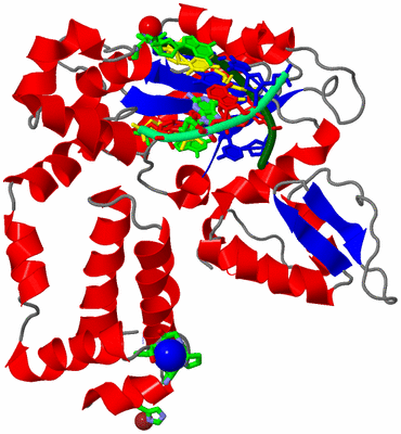 Image Asym./Biol. Unit - sites