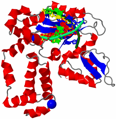Image Asym./Biol. Unit