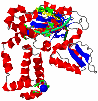 Image Asym./Biol. Unit - sites