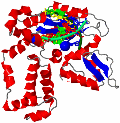 Image Asym./Biol. Unit