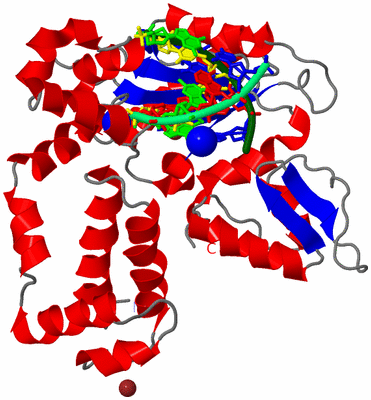 Image Asym./Biol. Unit