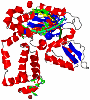 Image Asym./Biol. Unit - sites