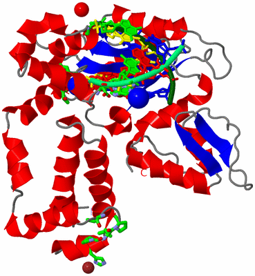 Image Asym./Biol. Unit - sites