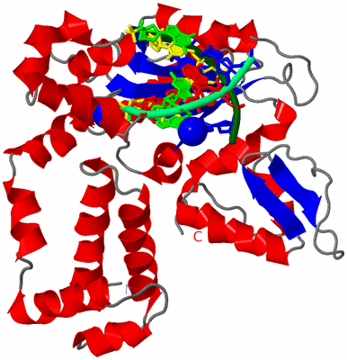 Image Asym./Biol. Unit