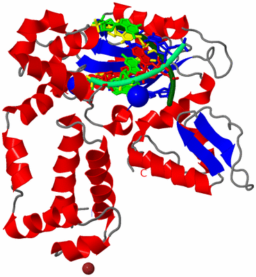 Image Asym./Biol. Unit