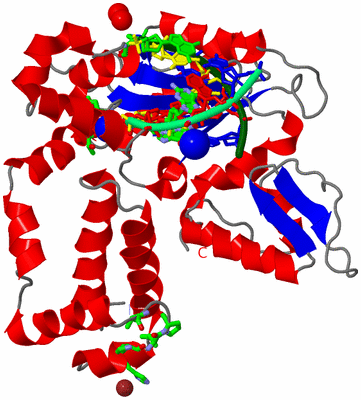 Image Asym./Biol. Unit - sites