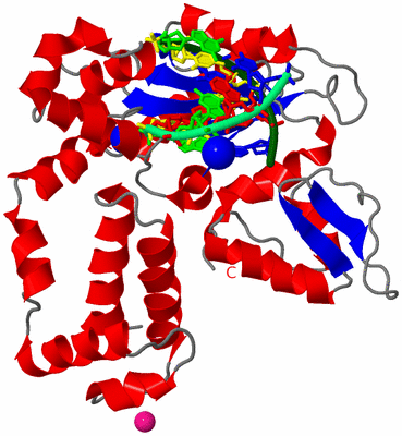 Image Asym./Biol. Unit