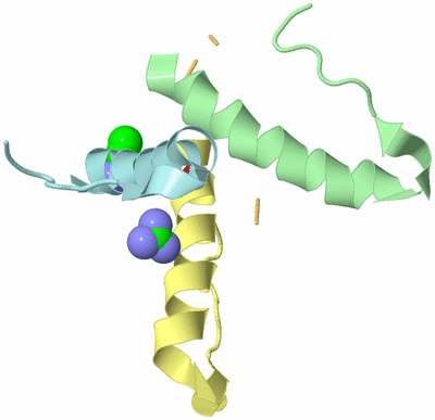 Image Biological Unit 10