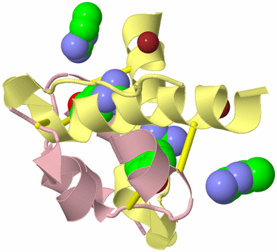 Image Biological Unit 11