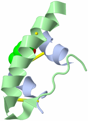 Image Biological Unit 12