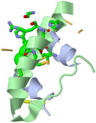 Image Biol. Unit 1 - sites