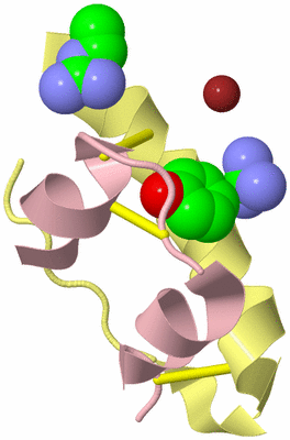 Image Biological Unit 2