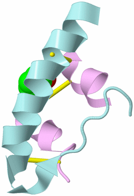 Image Biological Unit 3