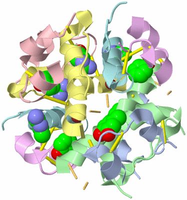 Image Biological Unit 4