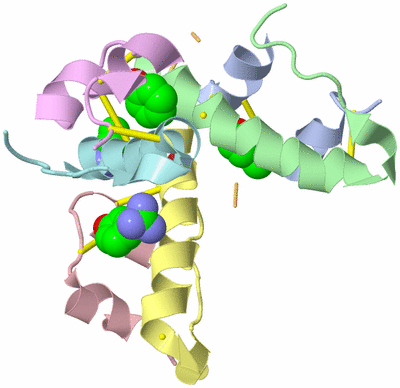 Image Biological Unit 5