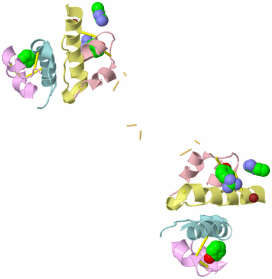 Image Biological Unit 6