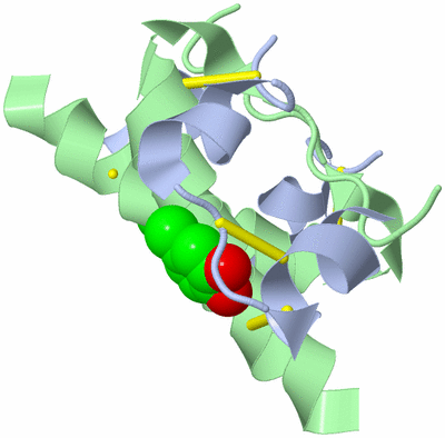 Image Biological Unit 7