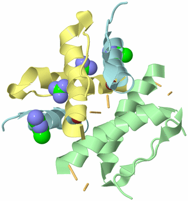 Image Biological Unit 8