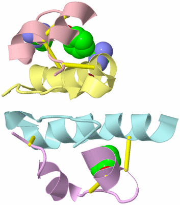 Image Biological Unit 9