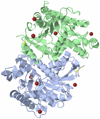 Image Biological Unit 1