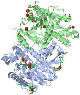 Image Biol. Unit 1 - sites