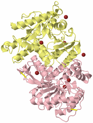 Image Biological Unit 2