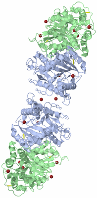 Image Biological Unit 3