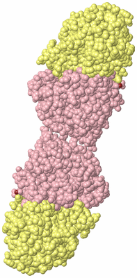 Image Biological Unit 4