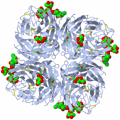 Image Biological Unit 1