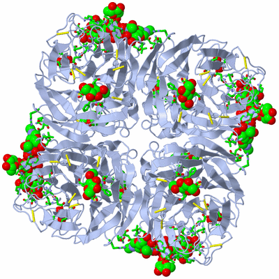 Image Biol. Unit 1 - sites