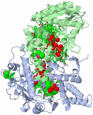 Image Asym./Biol. Unit - sites