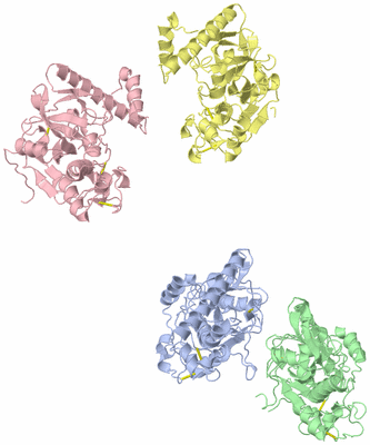 Image Asym./Biol. Unit