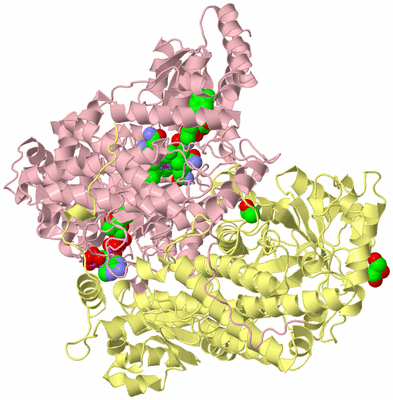 Image Biological Unit 2