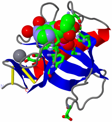 Image Asym./Biol. Unit - sites