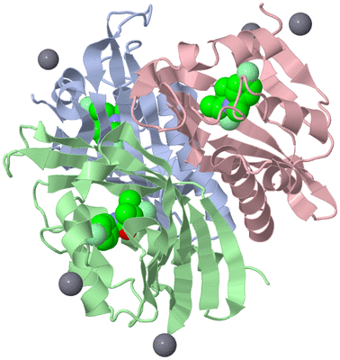 Image Biological Unit 1