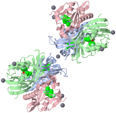 Image Biological Unit 2