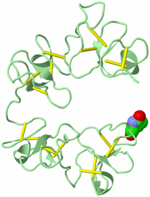 Image Biological Unit 2